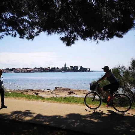 Apartamento In Porec/istrien 9901